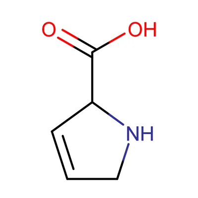 2,5-Dihidro-1H-pirol-2-Asam karboksilat CAS 3395-35-5